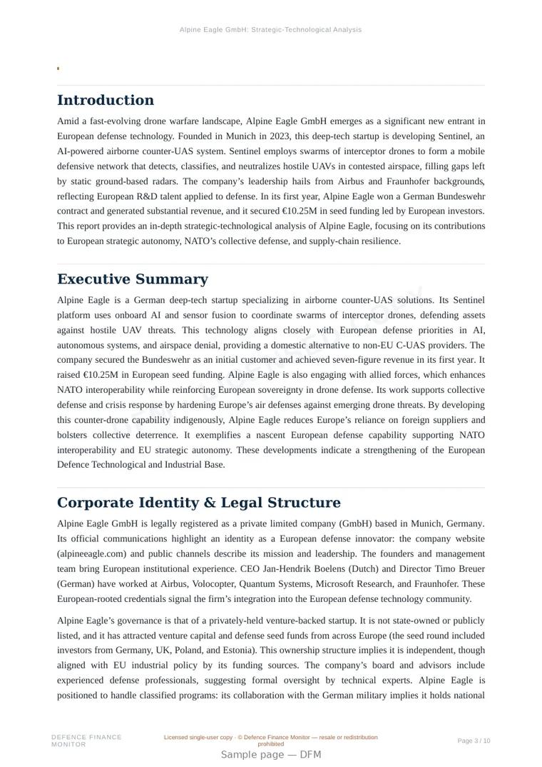 Sample page from “Alpine Eagle GmbH — artificial intelligence company” — 11-page report