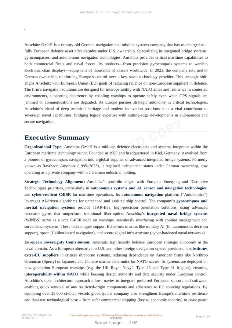Sample page from “Anschütz GmbH – Strategic-Technological Profile” — 37-page report