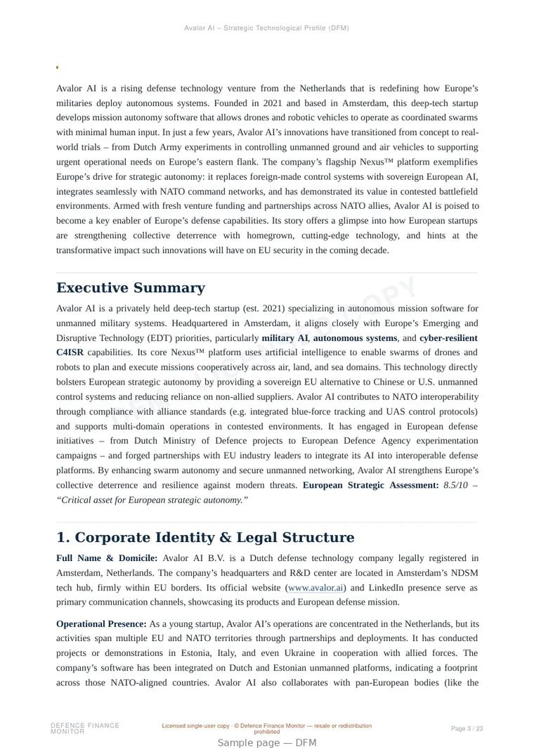 Sample page from “Avalor AI – Strategic Technological Profile” — 24-page report