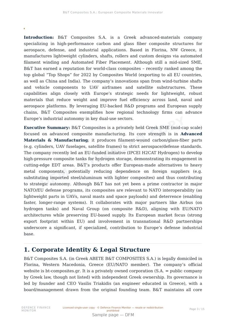Sample page from “B&T Composites S.A.: European Composite Materials Innovator” — 16-page report