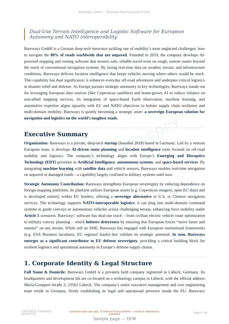 Sample page from “Bareways GmbH – Strategic-Technological Profile” — 36-page report