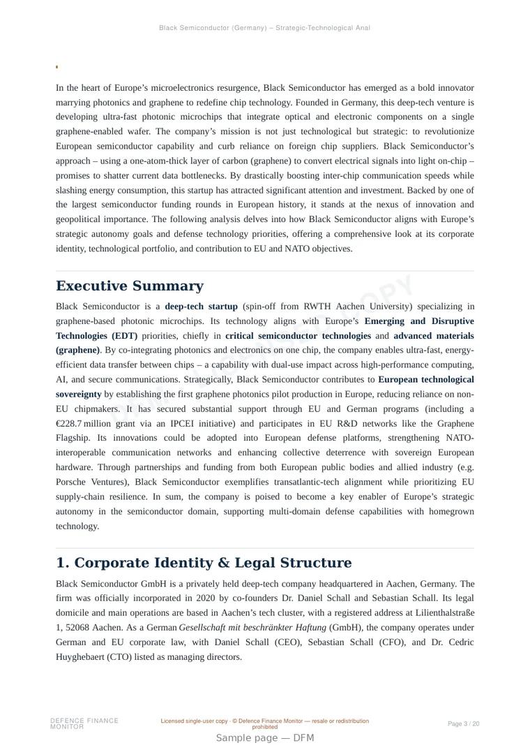 Sample page from “Black Semiconductor — Germany semiconductors company” — 21-page report