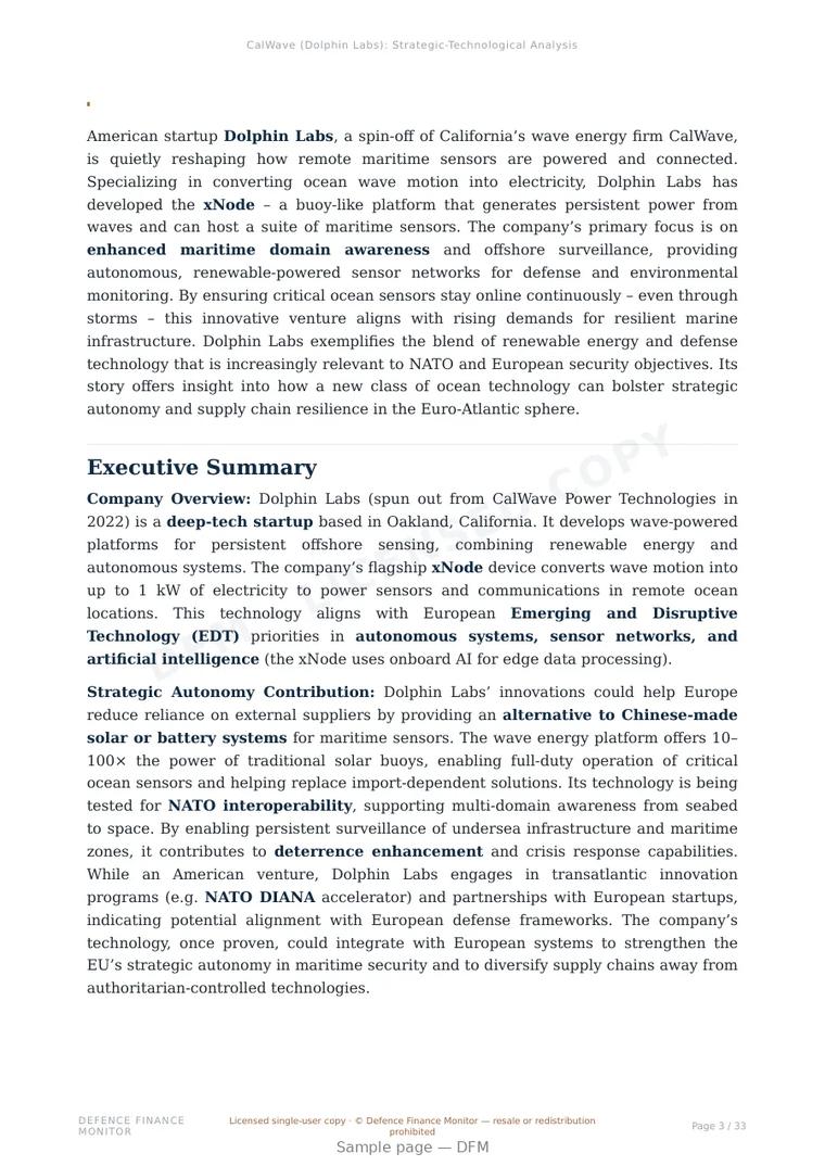 Sample page from “Dolphin Labs — United States energy storage company” — 34-page report