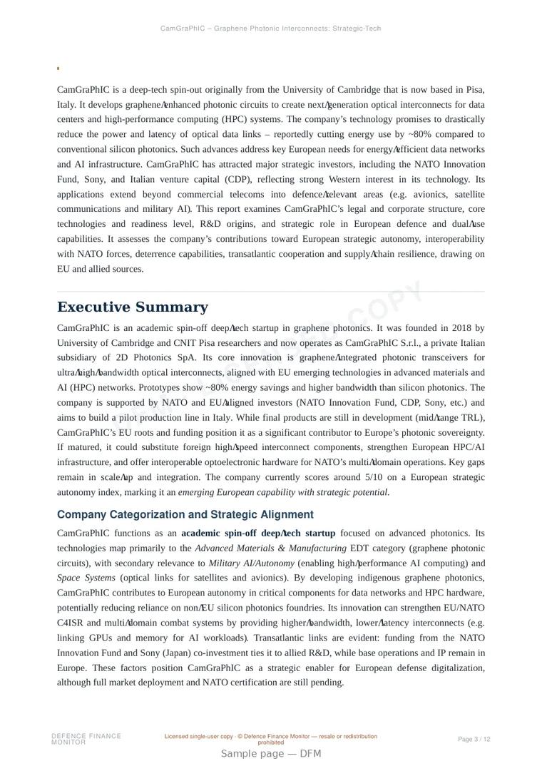 Sample page from “CamGraPhIC — Italy semiconductors company” — 13-page report
