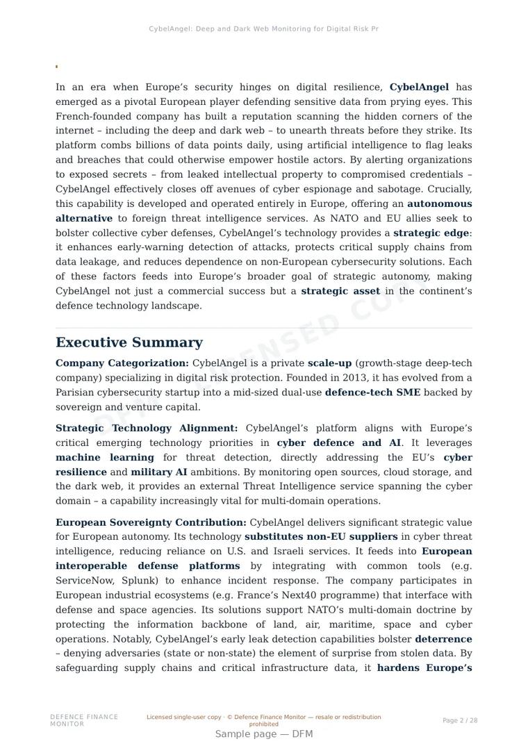 Sample page from “CybelAngel: Deep and Dark Web Monitoring for Digital Risk Protection” — 29-page report