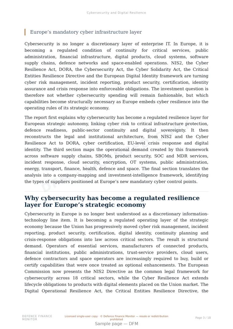 Sample page from “Cybersecurity and Digital Resilience” — 19-page report