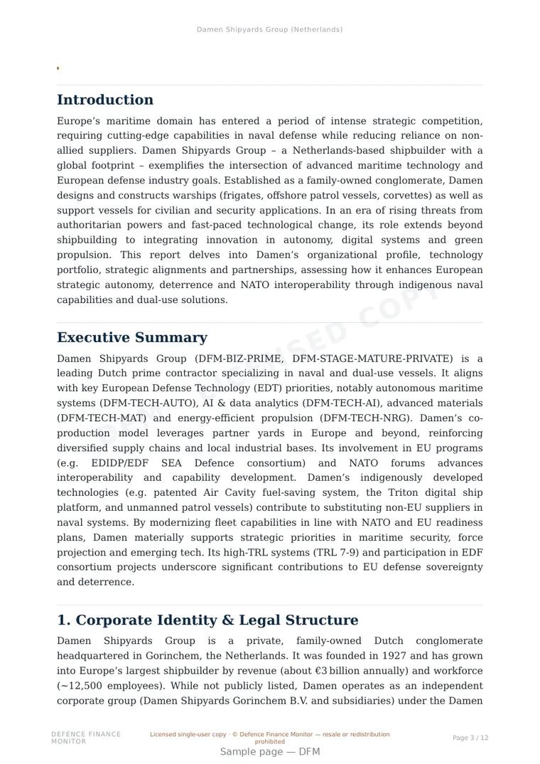 Sample page from “Damen Shipyards Group (Netherlands)” — 13-page report