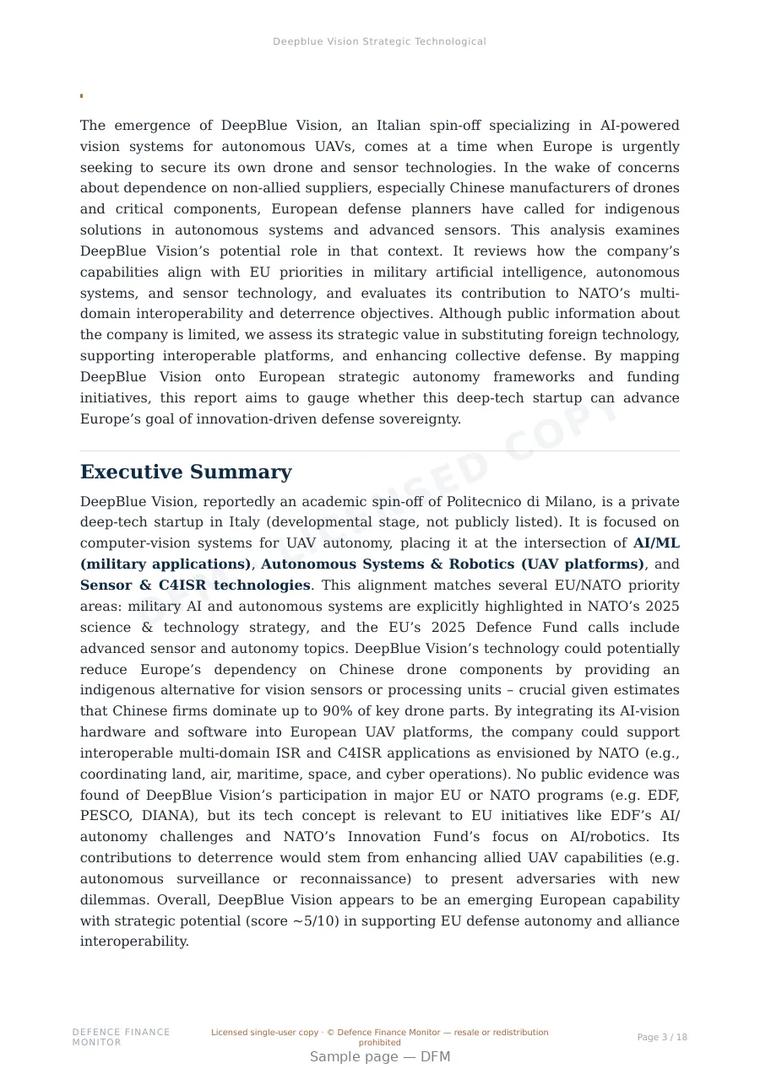 Sample page from “Deepblue Vision Strategic Technological” — 19-page report
