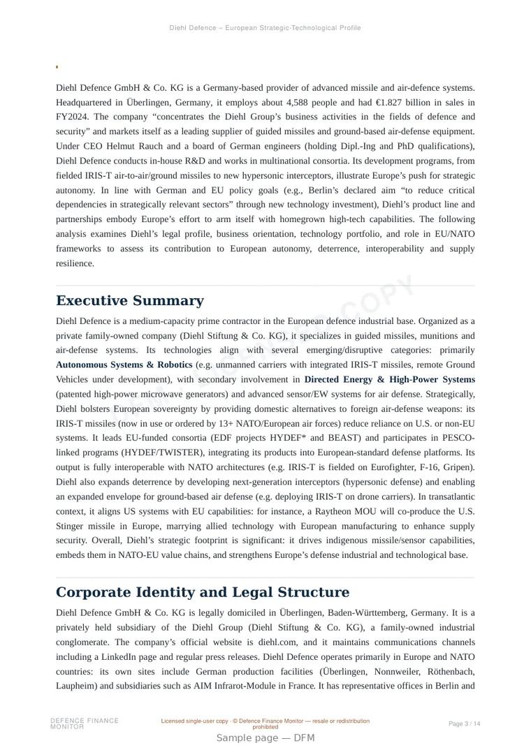 Sample page from “Diehl Defence – European Strategic-Technological Profile” — 15-page report
