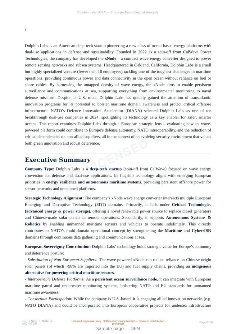 Sample page from “Dolphin Labs — United States energy storage company” — 35-page report