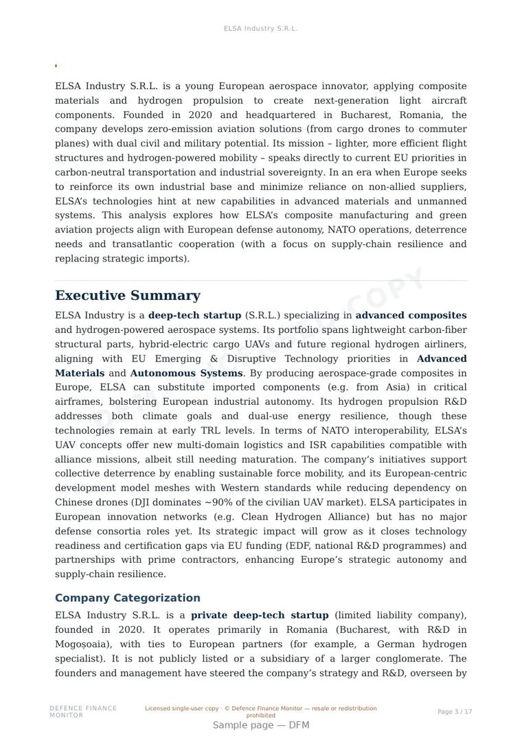 Sample page from “ELSA Industry S.R.L.” — 18-page report