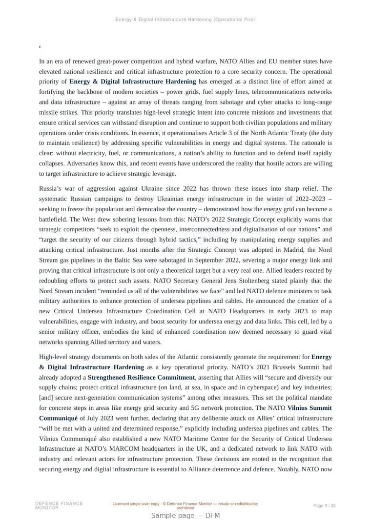 Sample page from “Energy & Digital Infrastructure Hardening (Operational Priorities)” — 34-page report