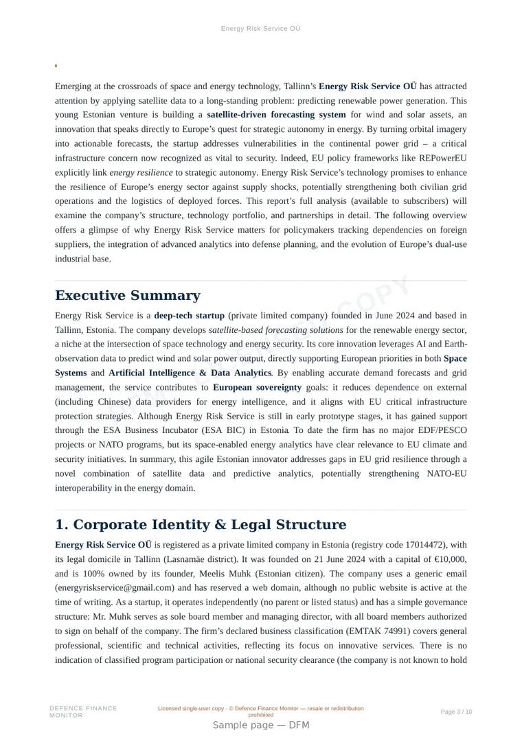 Sample page from “Energy Risk Service OÜ” — 11-page report