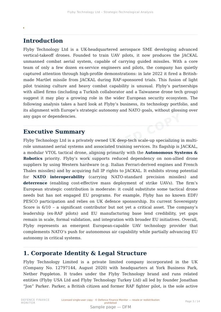 Sample page from “Flyby Technology Ltd — United Kingdom defence company” — 15-page report