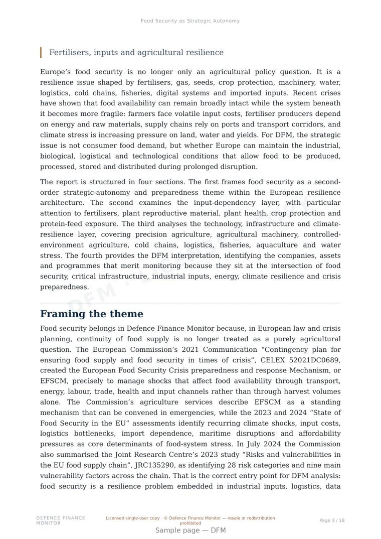 Sample page from “Food Security as Strategic Autonomy” — 19-page report