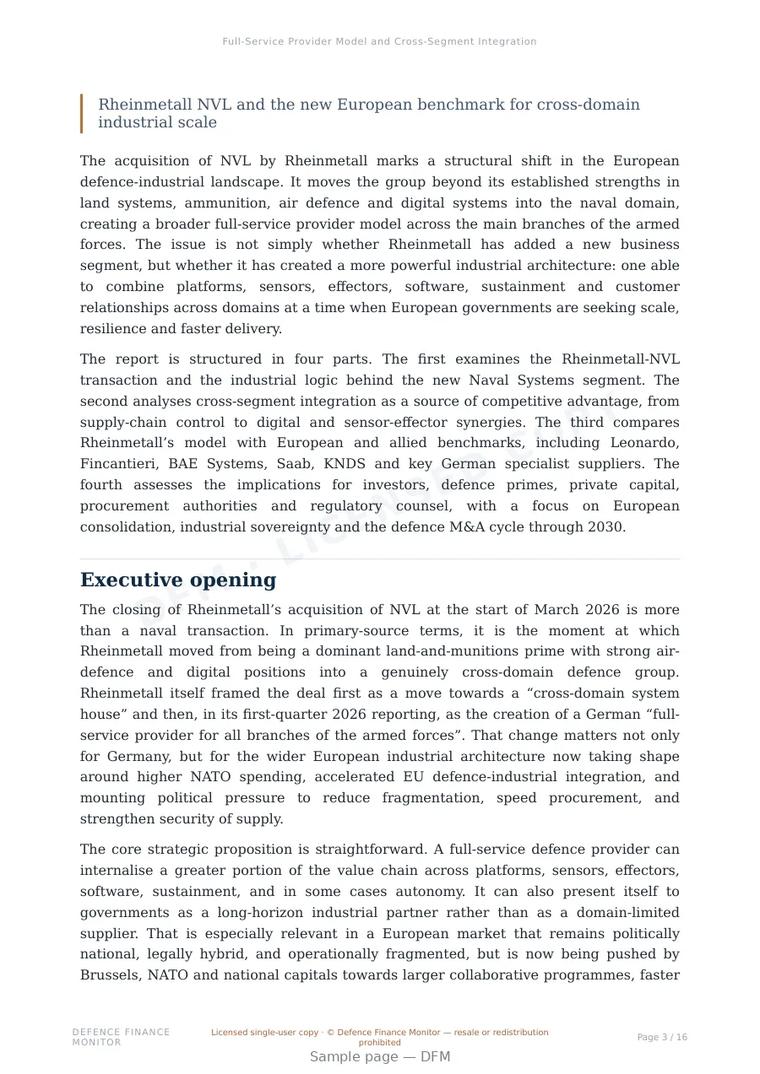 Sample page from “Full-Service Provider Model and Cross-Segment Integration” — 17-page report