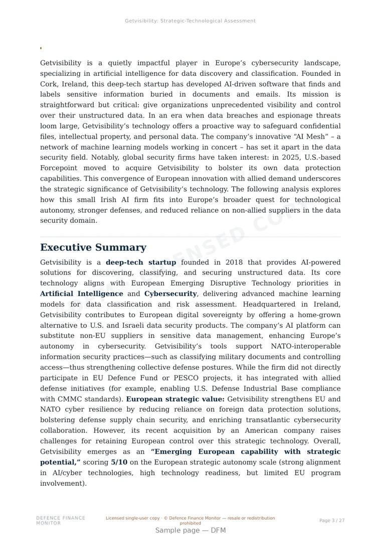 Sample page from “Getvisibility: Strategic-Technological Assessment” — 28-page report