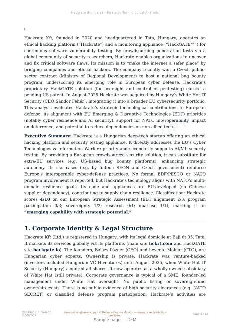 Sample page from “Hackrate Kft — Hungary cybersecurity company” — 13-page report