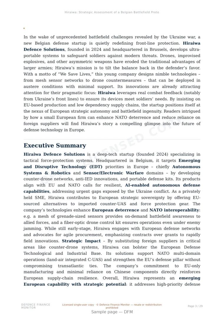 Sample page from “Hiraiwa: Strategic Assessment of a Belgian Battlefield Protection Startup” — 30-page report