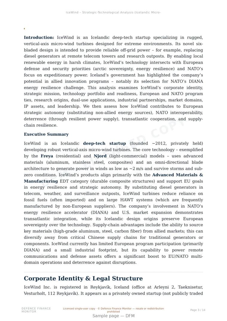 Sample page from “IceWind — Iceland energy storage company” — 15-page report