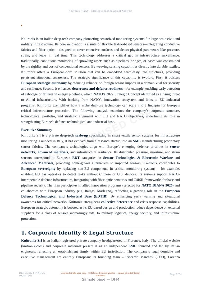Sample page from “Knitronix (Italy) – Strategic Technological Analysis” — 32-page report