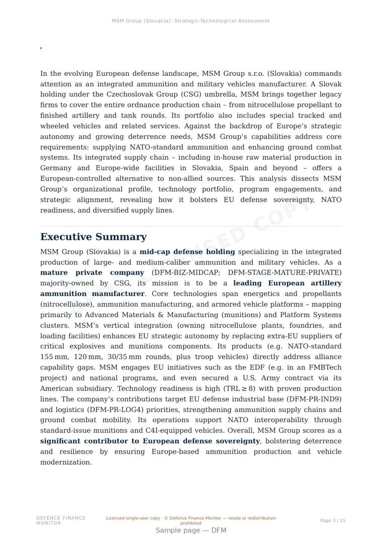 Sample page from “MSM Group (Slovakia): Strategic-Technological Assessment” — 16-page report