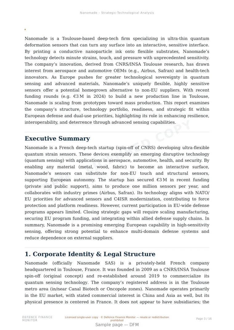 Sample page from “Nanomade — France advanced sensors company” — 17-page report