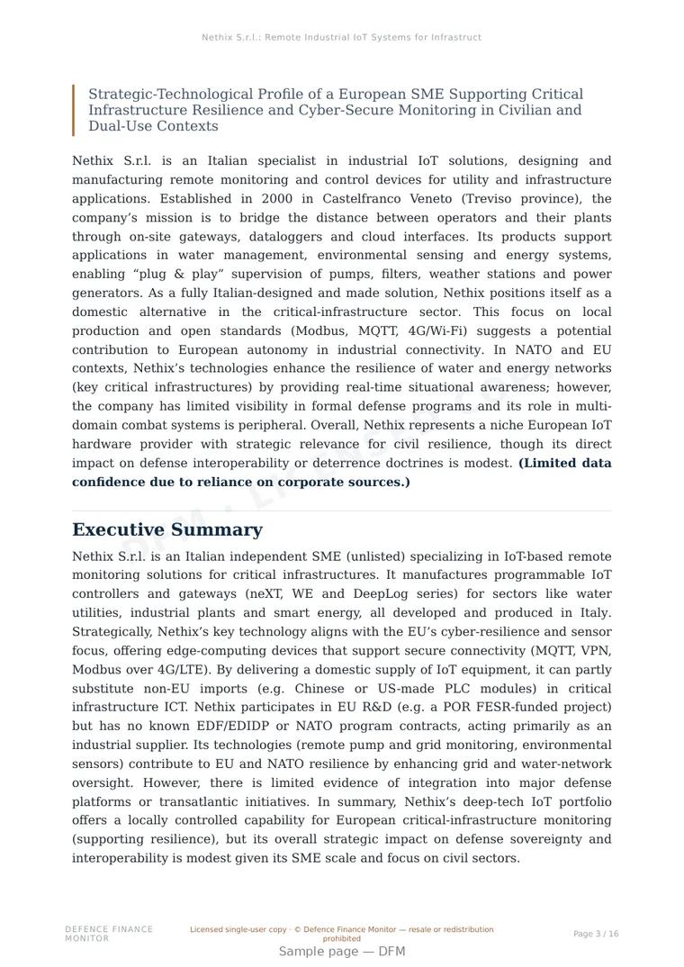 Sample page from “Nethix S.r.l.: Remote Industrial IoT Systems for Infrastructure Monitoring” — 17-page report