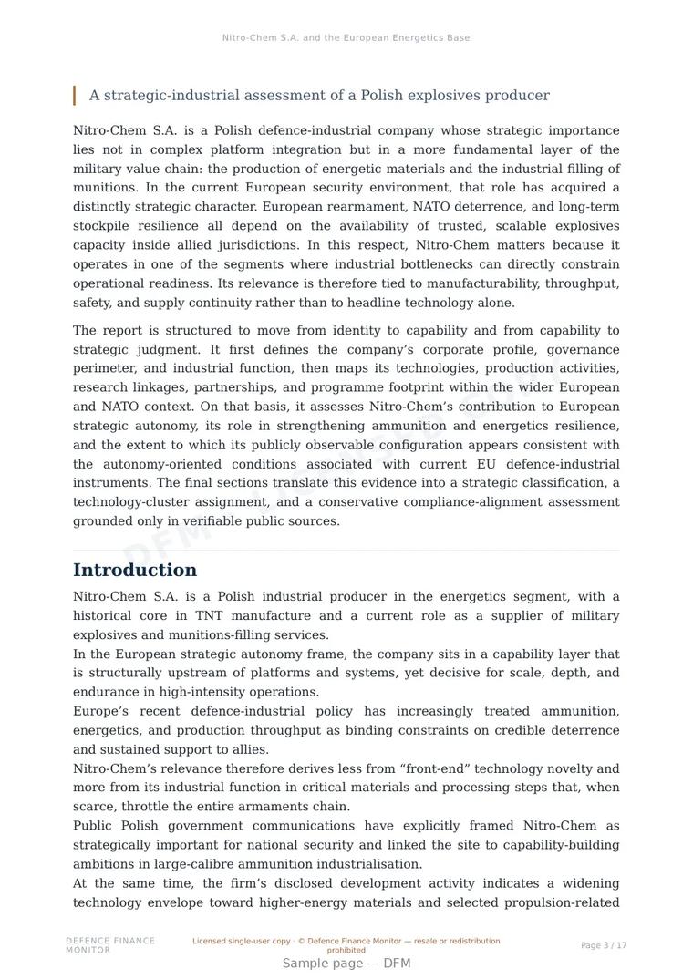Sample page from “Nitro-Chem S.A. and the European Energetics Base” — 18-page report
