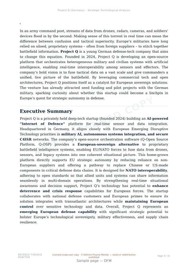 Sample page from “Project Q — Germany interoperability company” — 32-page report