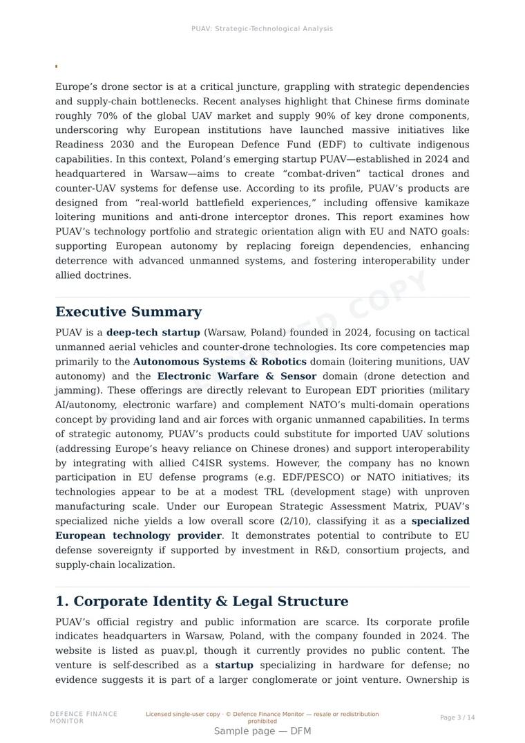 Sample page from “PUAV — Poland unmanned aerial systems company” — 15-page report