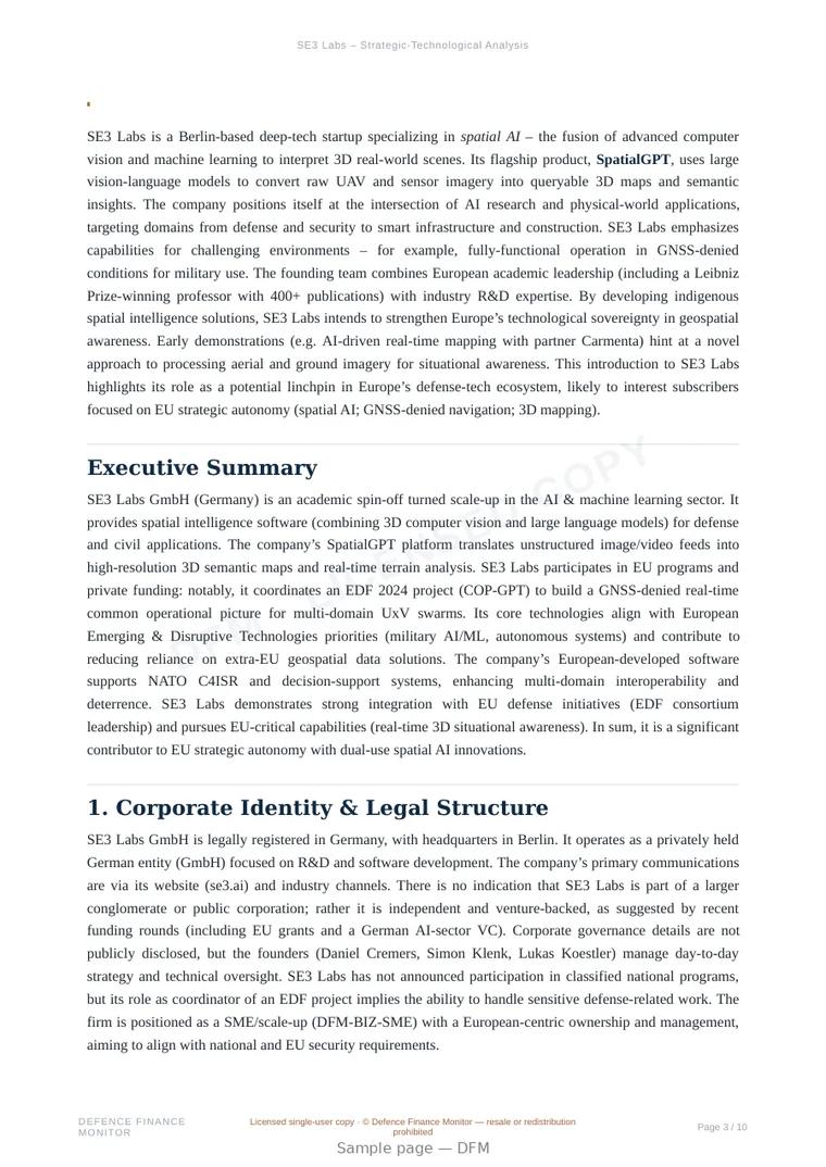 Sample page from “SE3 Labs — artificial intelligence company” — 11-page report