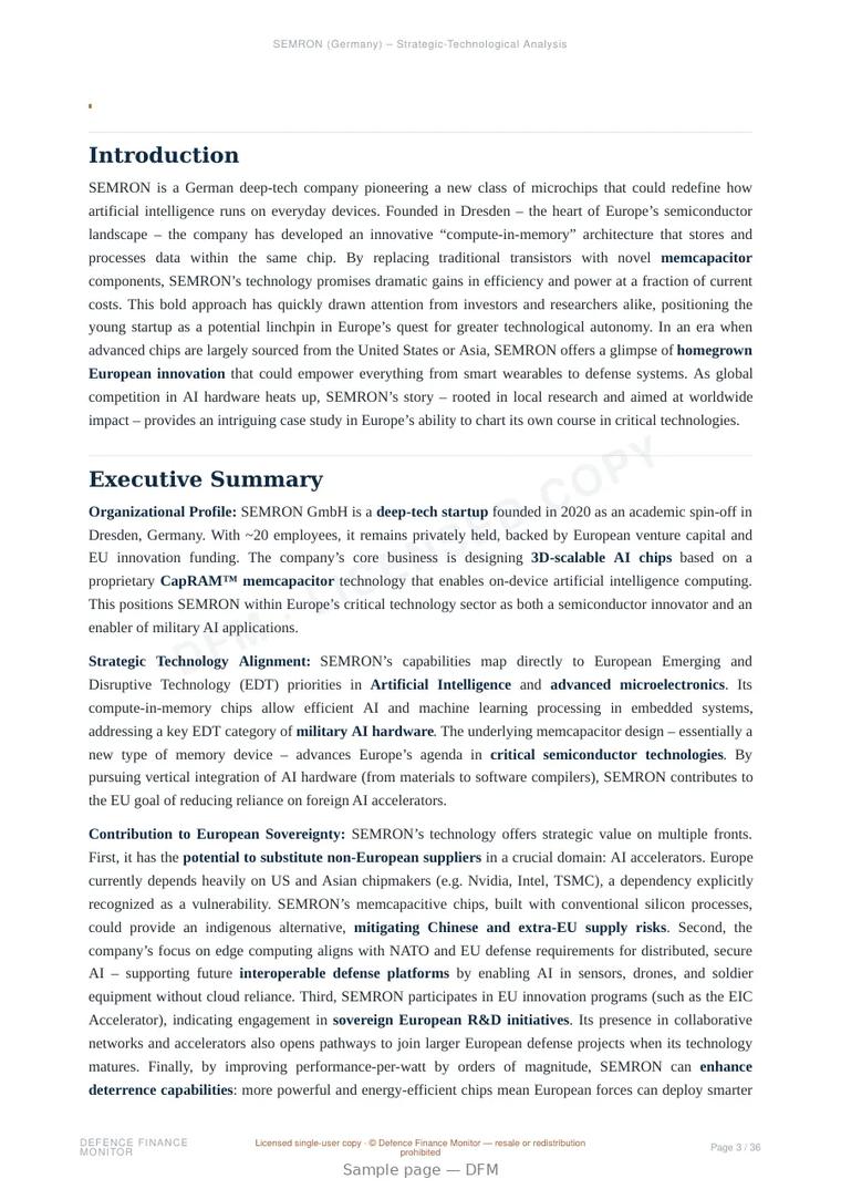 Sample page from “SEMRON — Germany semiconductors company” — 37-page report