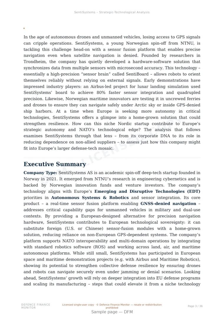 Sample page from “SentiSystems — Norway guidance company” — 37-page report