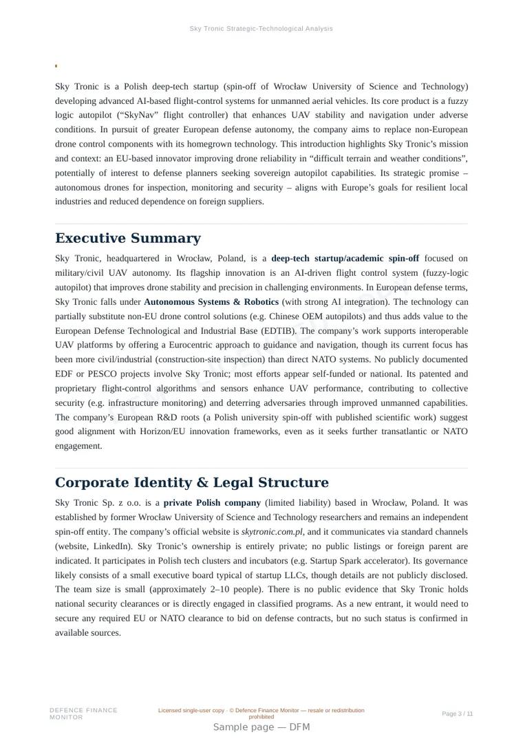 Sample page from “Sky Tronic — artificial intelligence company” — 12-page report