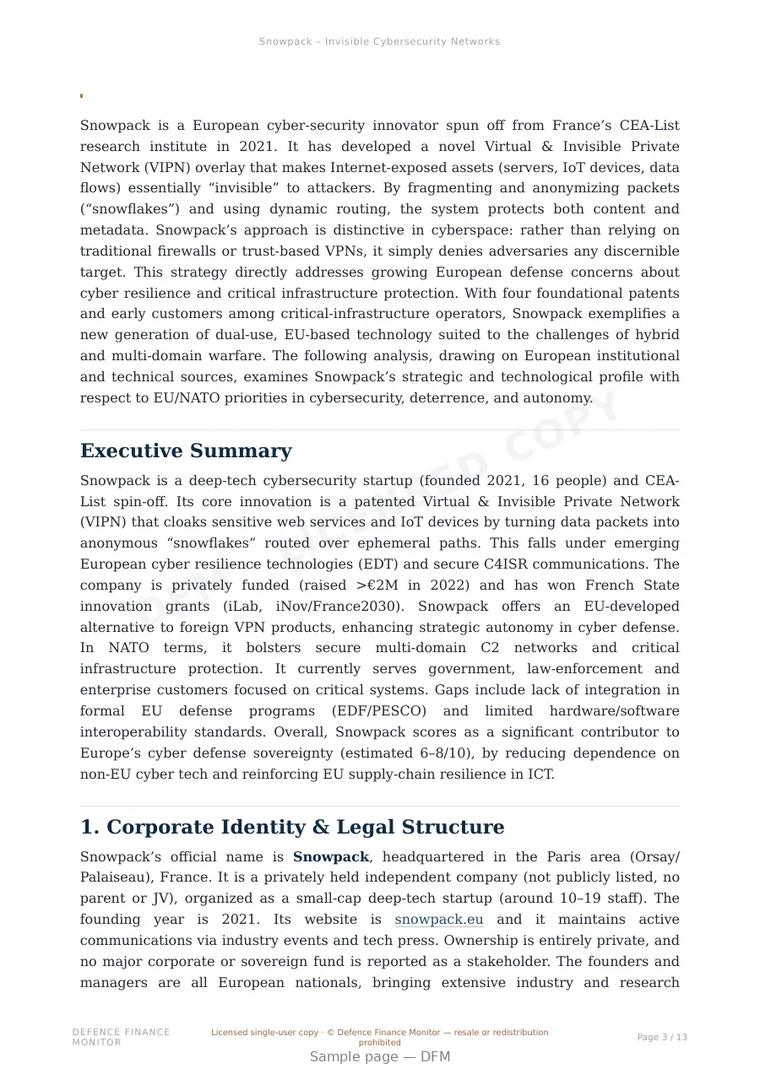 Sample page from “Snowpack – Invisible Cybersecurity Networks” — 14-page report
