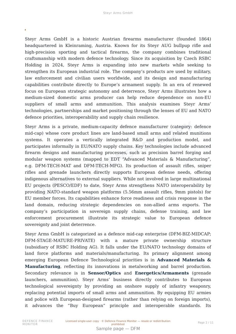 Sample page from “Steyr Arms GmbH” — 12-page report