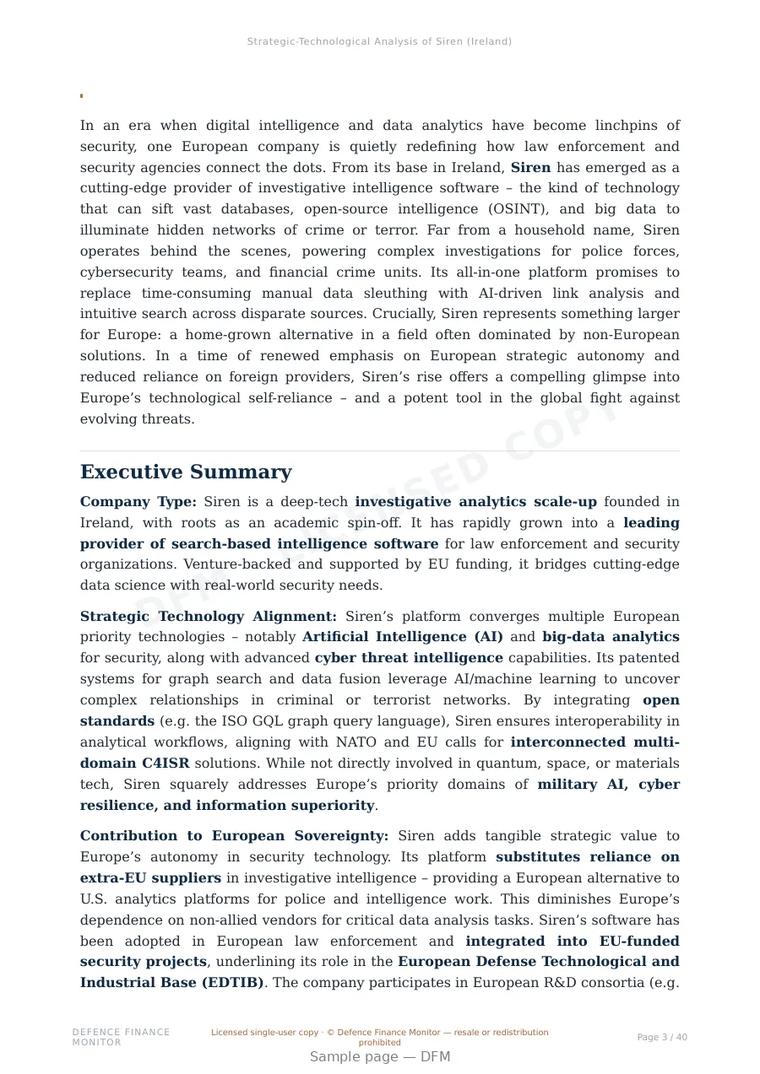 Sample page from “Siren — Ireland knowledge graph company” — 41-page report
