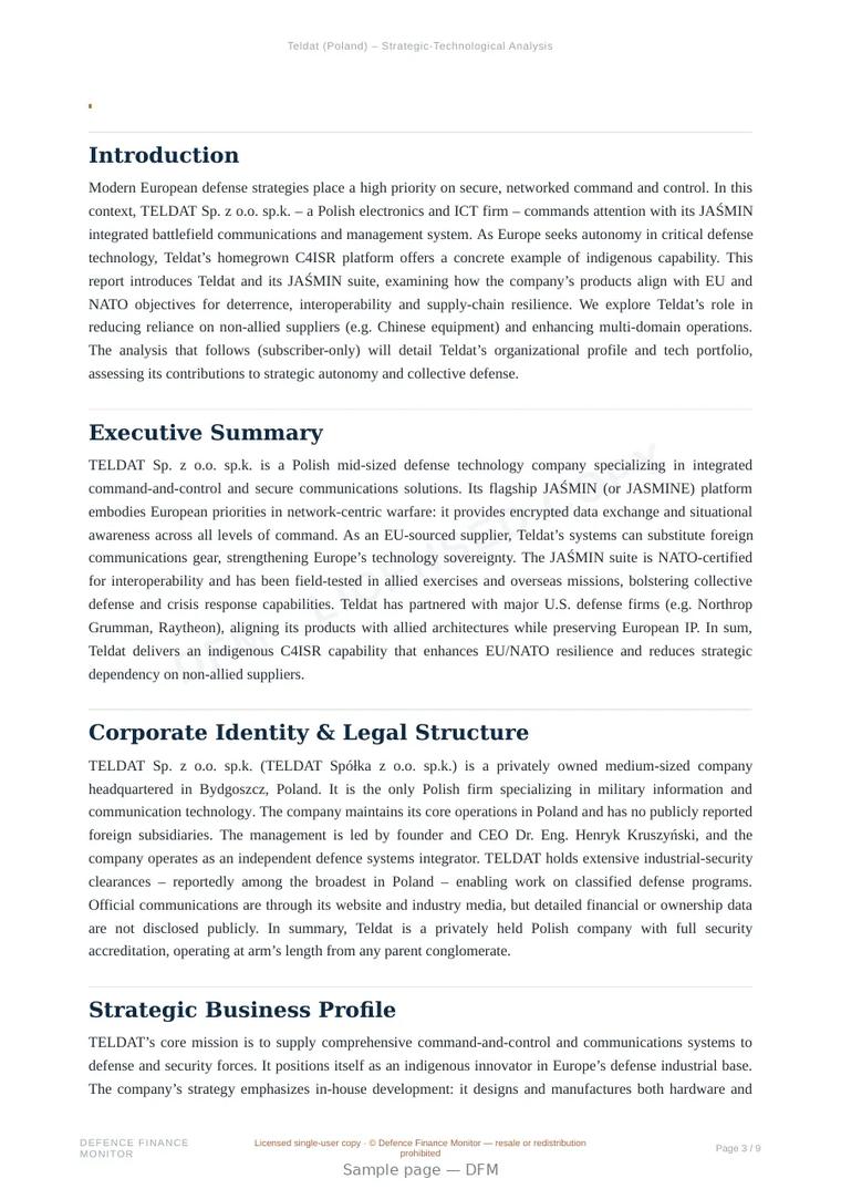 Sample page from “Teldat — Poland command company” — 10-page report