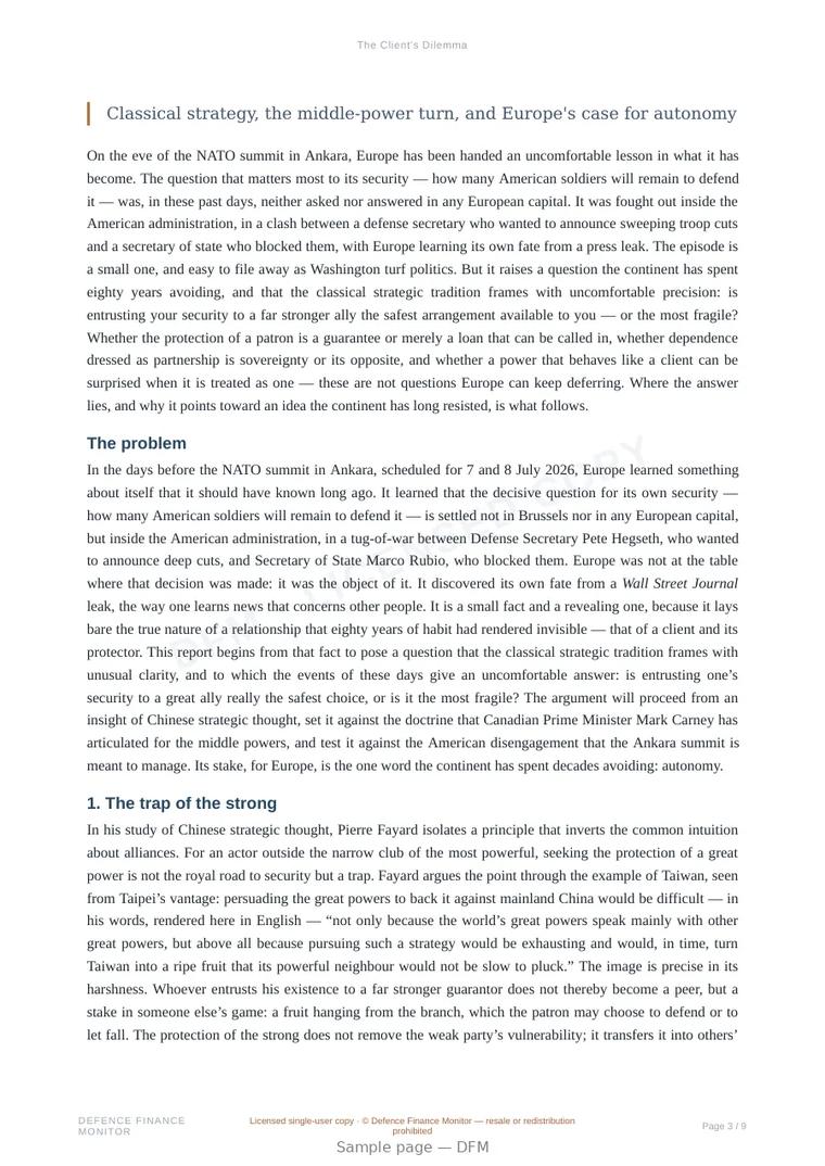Sample page from “The Client's Dilemma” — 10-page report
