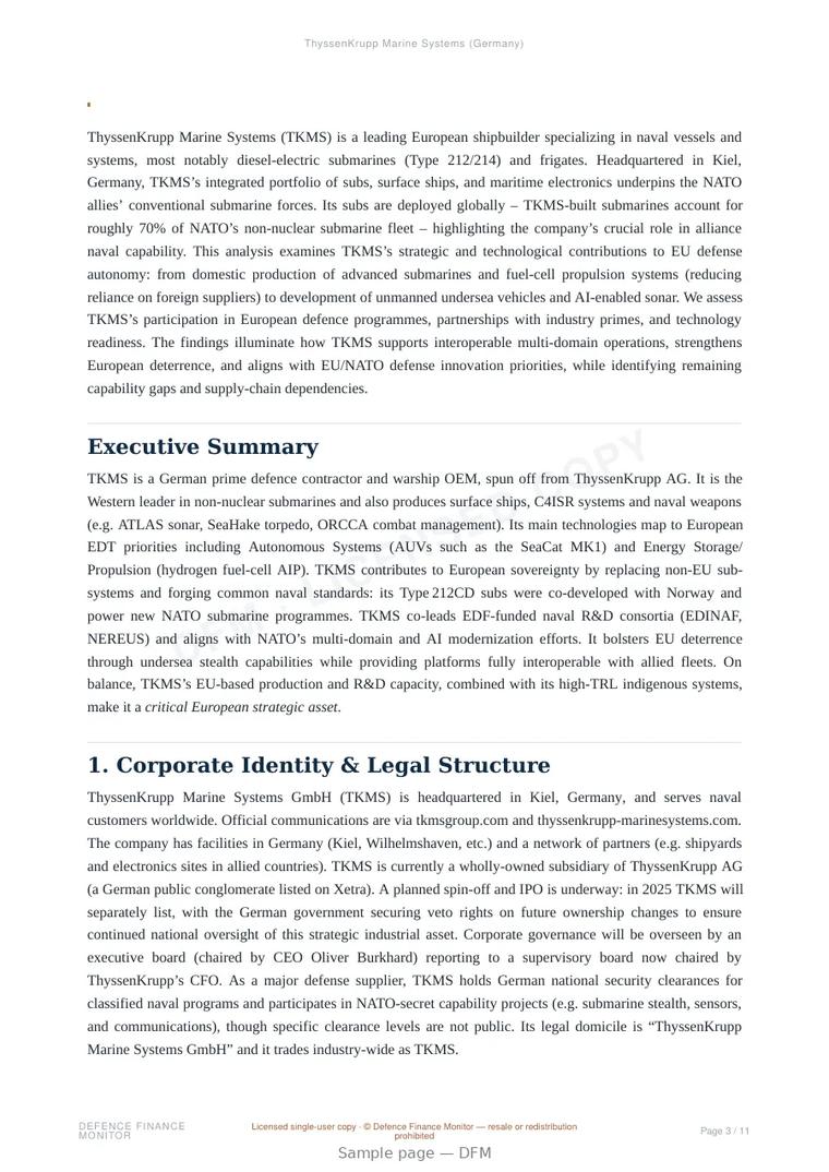 Sample page from “ThyssenKrupp Marine Systems (Germany)” — 12-page report