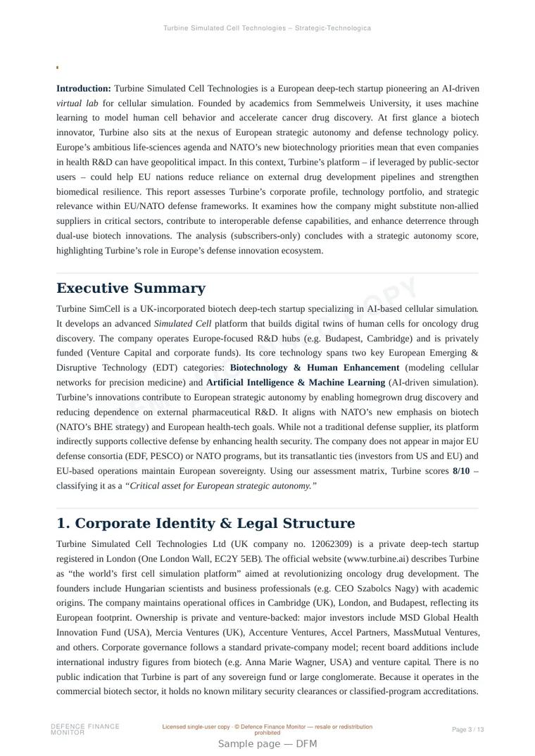 Sample page from “Turbine Simulated Cell Technologies — Hungary operational modelling company” — 14-page report
