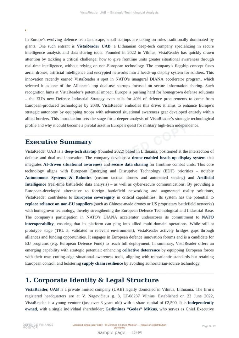 Sample page from “VistaReader UAB — Lithuania ai for isr company” — 29-page report