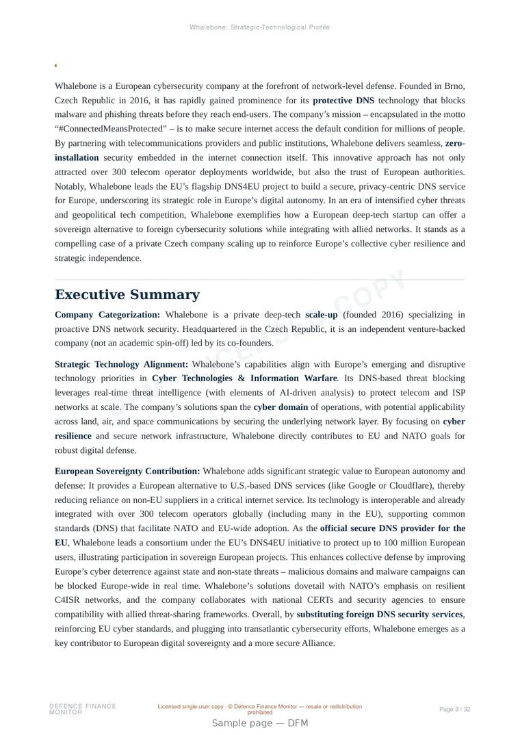 Sample page from “Whalebone: Strategic-Technological Profile” — 33-page report