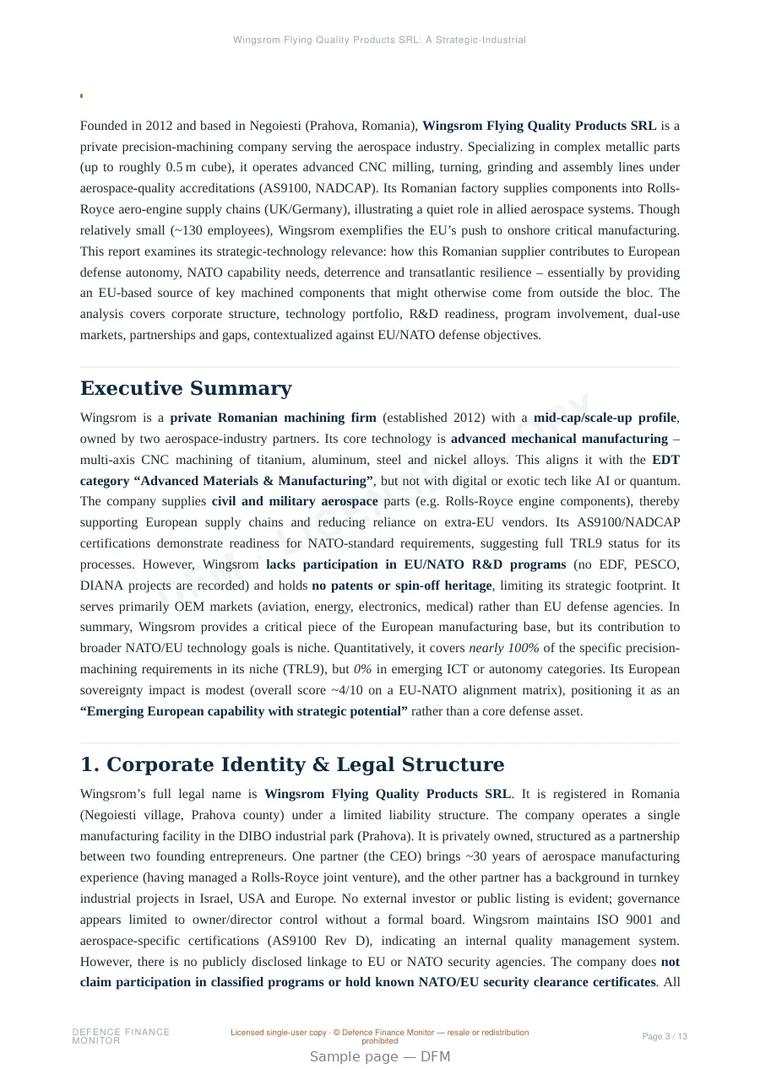Sample page from “Wingsrom Flying Quality Products SRL: A Strategic-Industrial Profile” — 14-page report