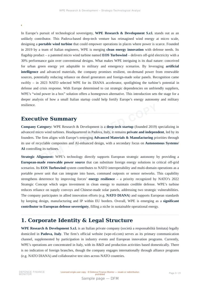 Sample page from “WPE Research & Development S.r.l. — Italy energy storage company” — 22-page report