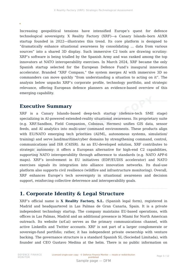 Sample page from “X Reality Factory (XRF): Strategic-Technological Assessment” — 13-page report