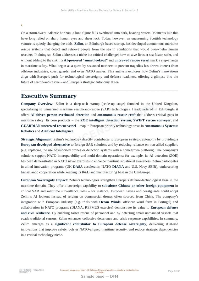 Sample page from “Zelim — United Kingdom unmanned surface systems company” — 31-page report