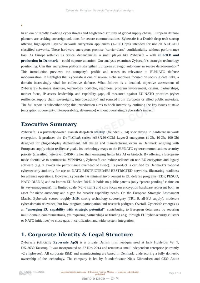Sample page from “Zybersafe — Denmark cryptography company” — 19-page report